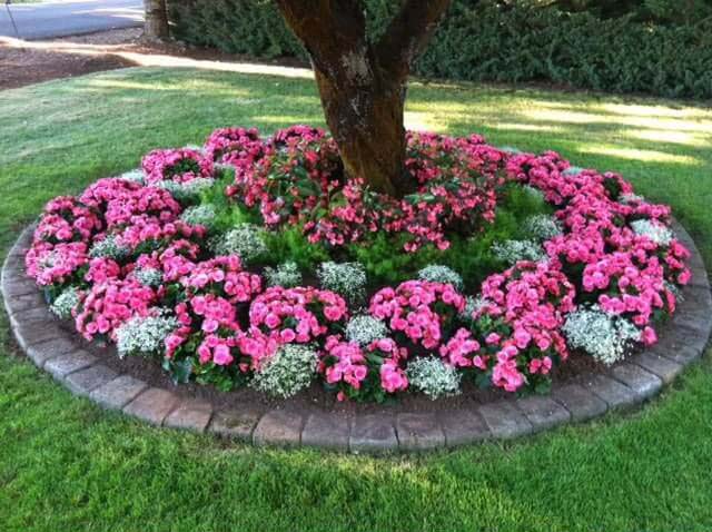 Circular Shade-Loving Annuals Flower Bed #frontyardlandscapingideas #decorhomeideas