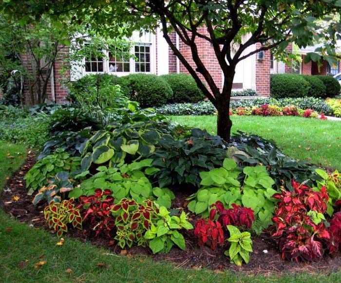 Coleus and Hosta Flower Beds #frontyardlandscapingideas #decorhomeideas