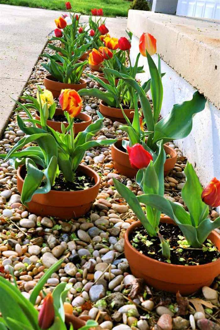 Easy-to-Update Potted Border #frontyardlandscapingideas #decorhomeideas