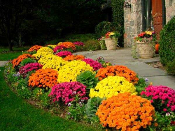 Flashy Fall Flowers #frontyardlandscapingideas #decorhomeideas