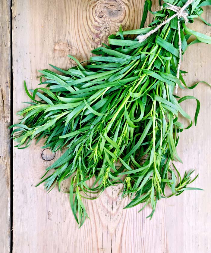 French Tarragon #perennialherbs #decorhomeideas