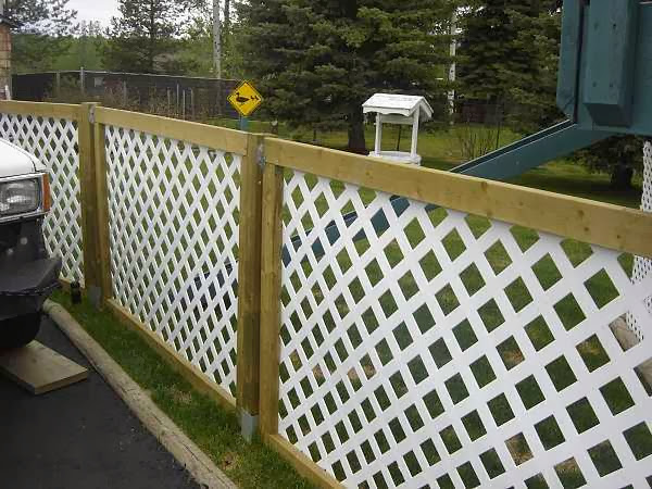 Inexpensive Fence Ideas