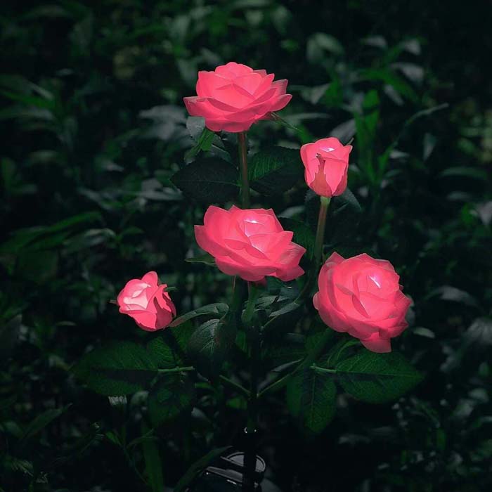 Light Up the Night with Solar Roses #backyardlightingideas #decorhomeideas