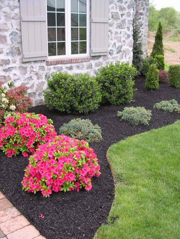 Low Maintenance Evergreen Border with a Pop of Color #frontyardlandscapingideas #decorhomeideas