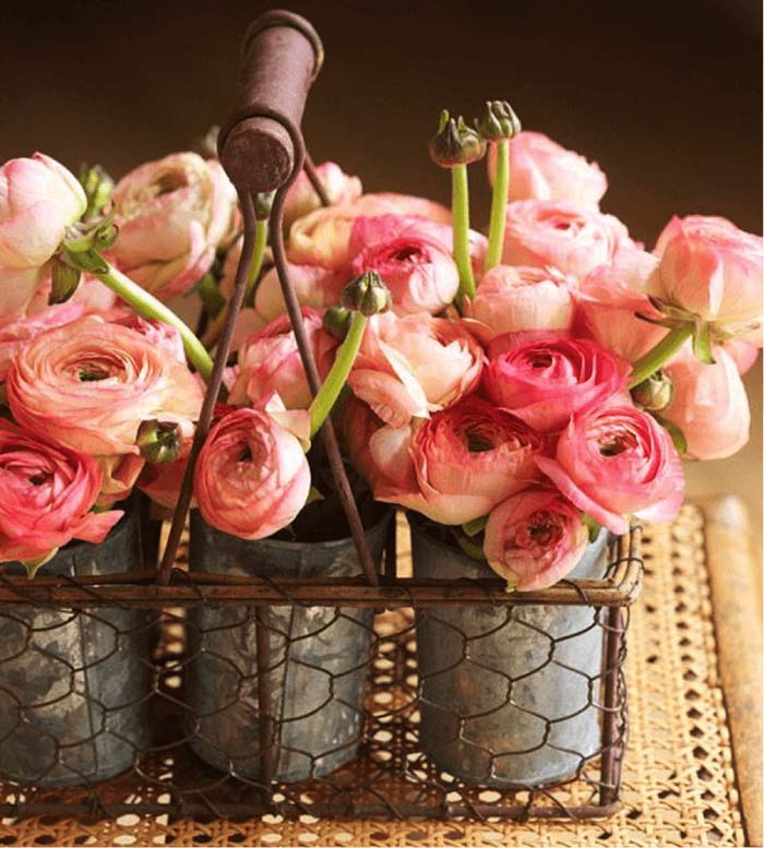 Metal Cups of Cabbage Rose in Wire Basket #flowerarrangementsideas #flowerarrangement #decorhomeideas