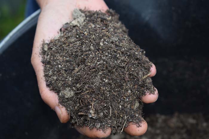 Mulching With Used Coffee Grounds #decorhomeideas