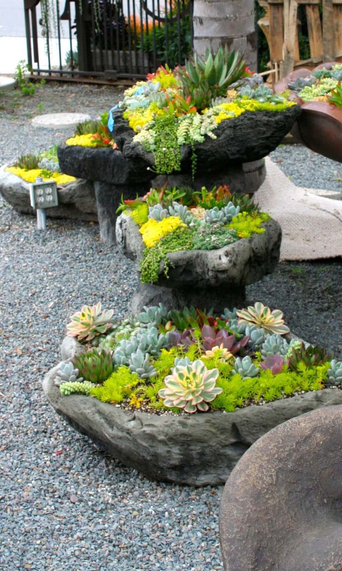 Showy Succulent Stone Planters #frontyardlandscapingideas #decorhomeideas