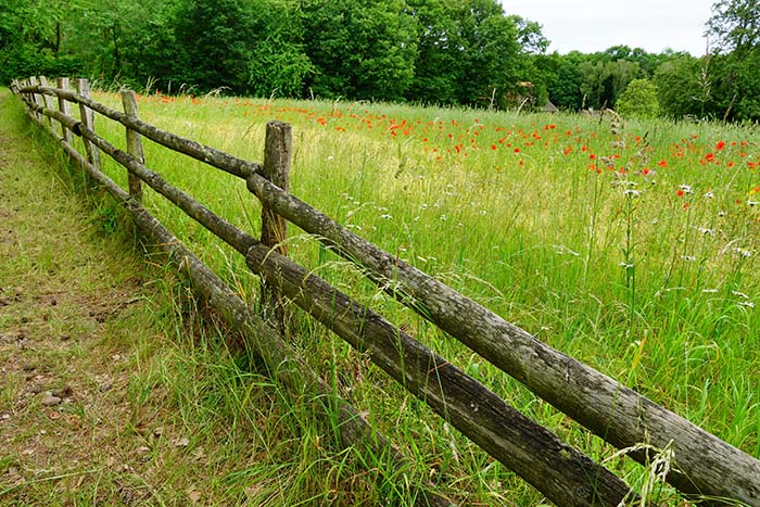 Split Rail Fence