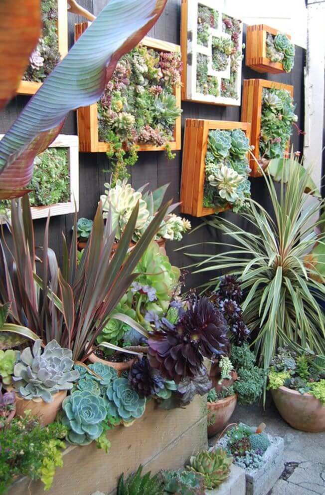 Succulents Overflowing from Framed Boxes #gardenfencedecoration #decorhomeideas