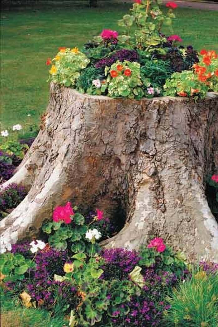 Tree Stump Planter #frontyardlandscapingideas #decorhomeideas
