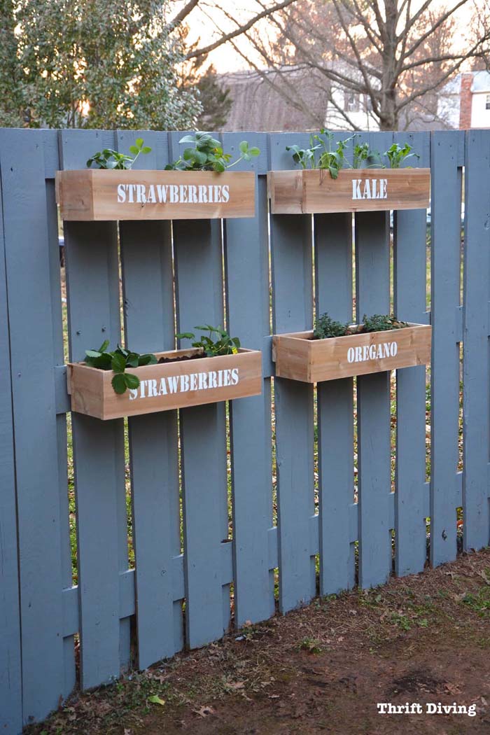 Wall Planter Garden with Stenciled Lettering #gardenfencedecoration #decorhomeideas