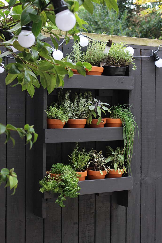 Wall Shelf with a Herb Garden #gardenfencedecoration #decorhomeideas