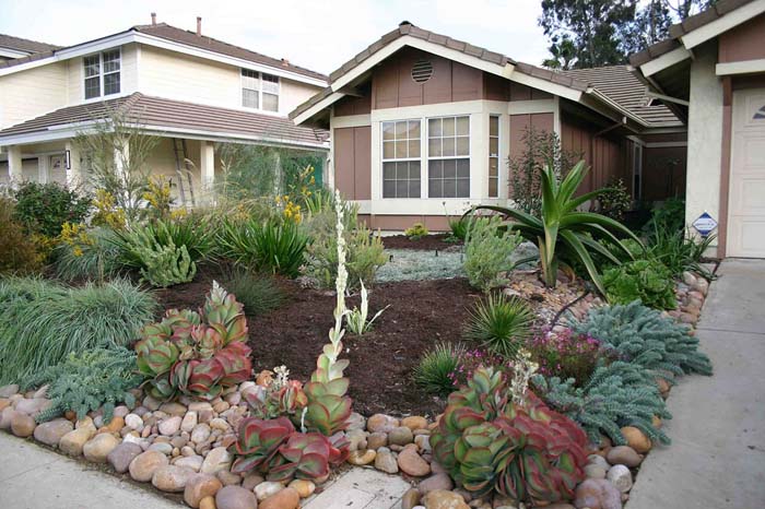 Western Water-Wise #frontyardlandscapingideas #decorhomeideas