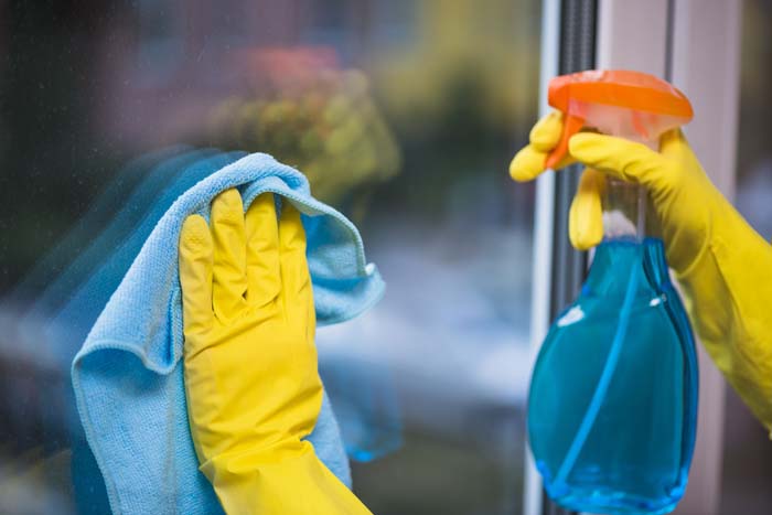 Cleaning Windows With Windex #windex #decorhomeideas