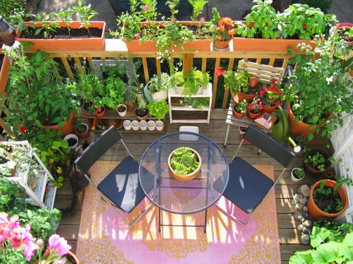 Dinner Garden #balconygarden #decorhomeideas