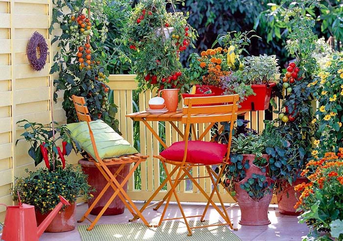 Energizing Balcony #balconygarden #decorhomeideas