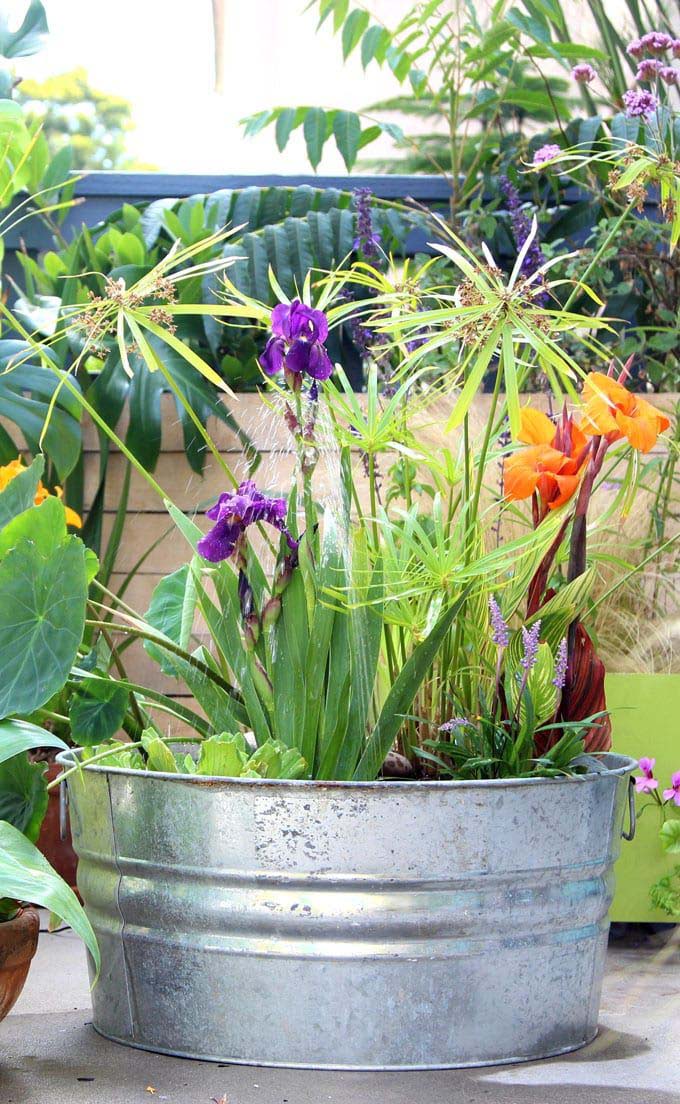 Galvanized Bucket Solar Fountain #diywaterfountain #decorhomeideas