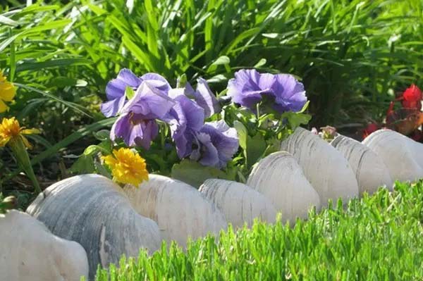 Garden Edged with Natural Seashells #gardenedgingideas #decorhomeideas