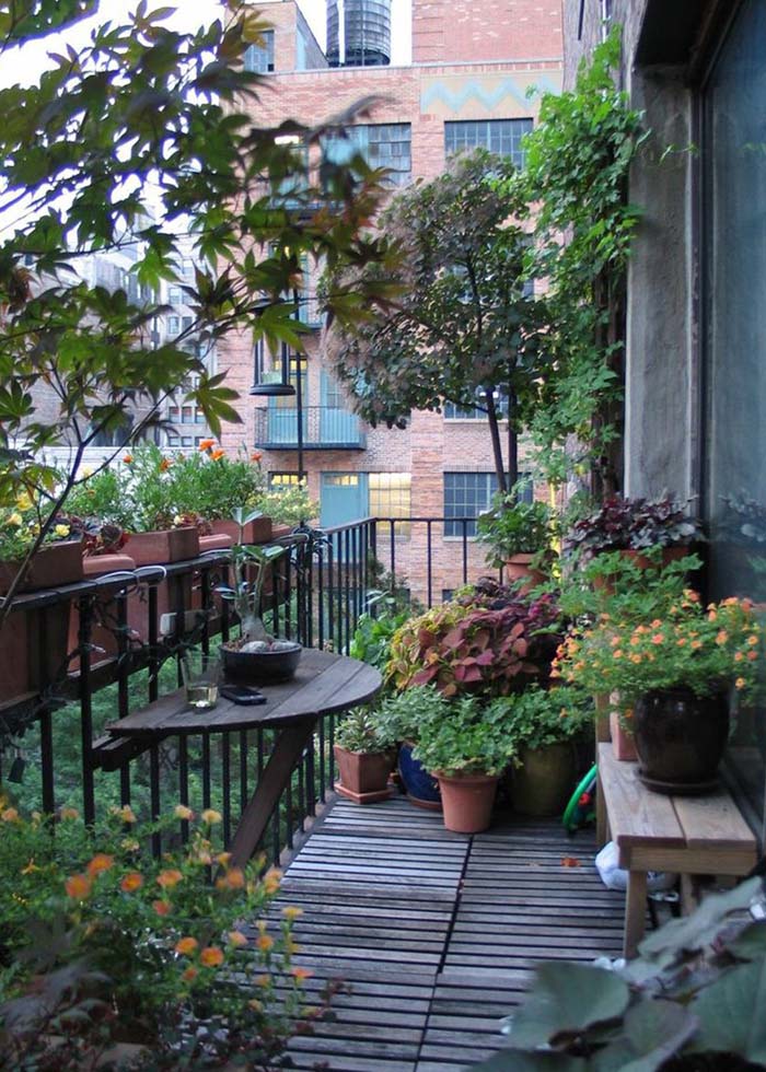 In a forest? Or on a balcony? #balconygarden #decorhomeideas