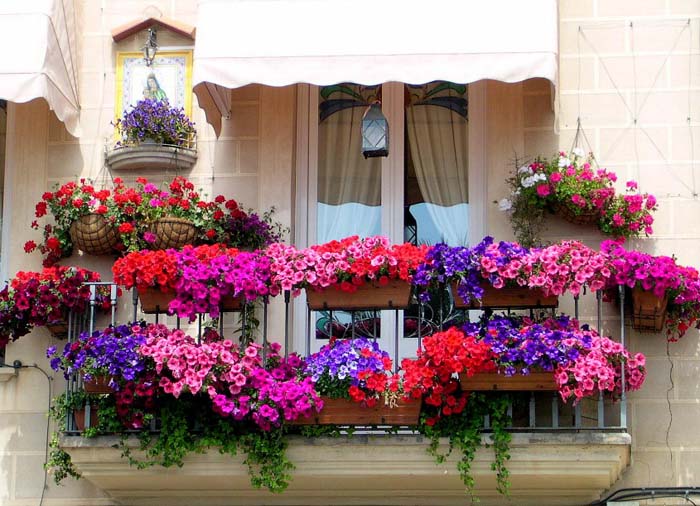 Italian Flair #balconygarden #decorhomeideas