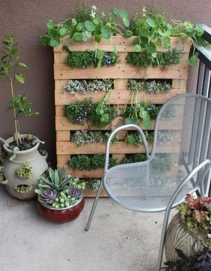 Pallet Garden #balconygarden #decorhomeideas