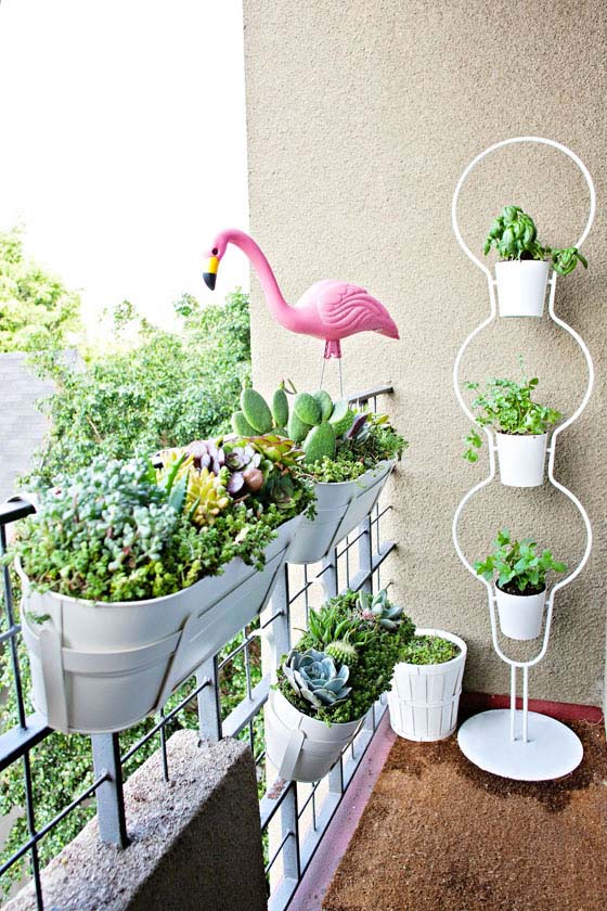 Petite, Yet Hardy #balconygarden #decorhomeideas