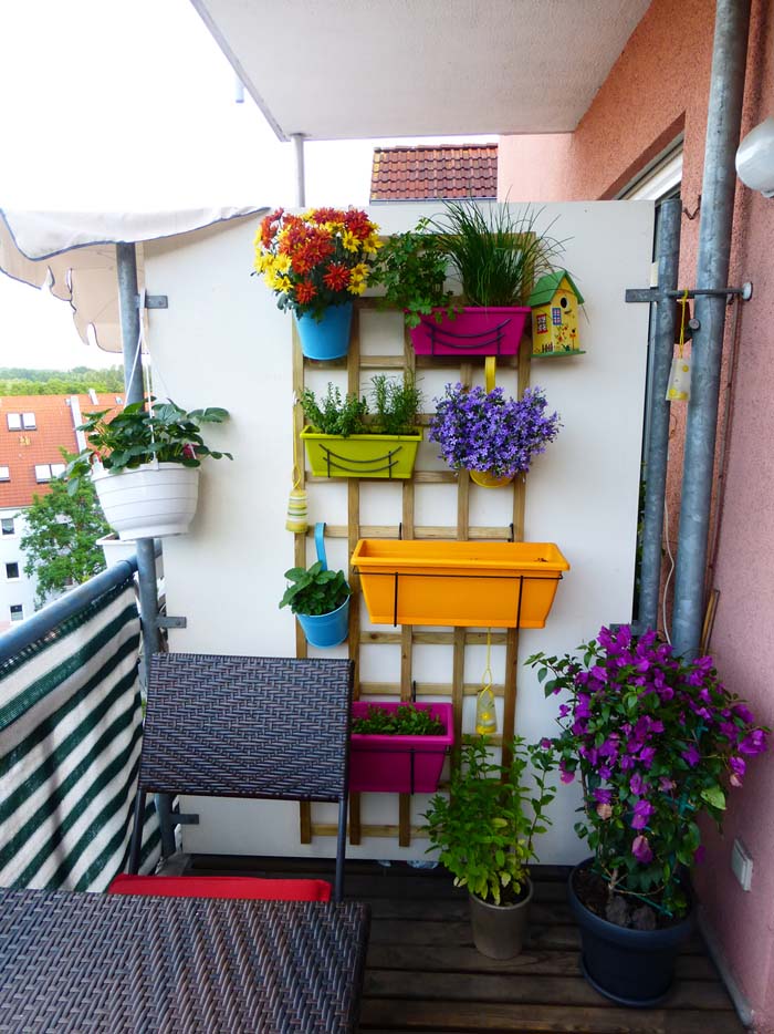 Semi-private #balconygarden #decorhomeideas