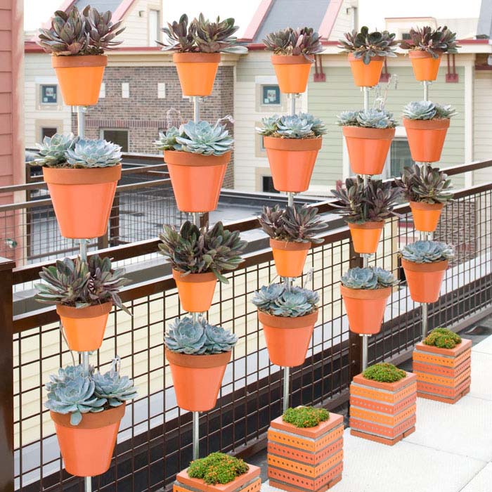 Succulent Garden #balconygarden #decorhomeideas