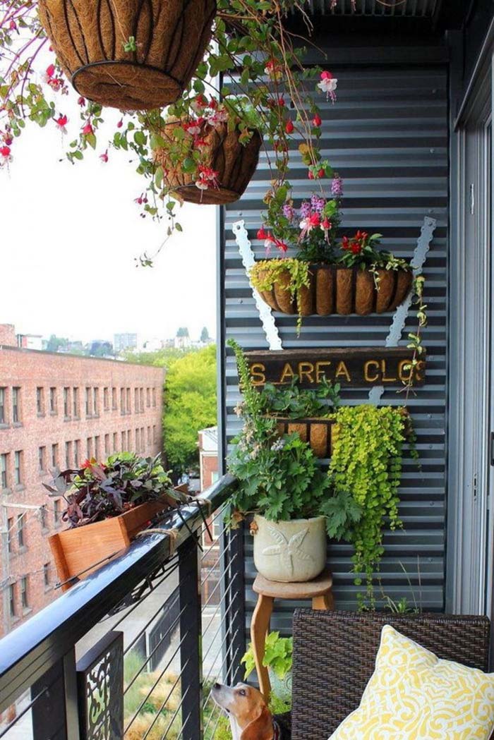 Tiny Garden #balconygarden #decorhomeideas