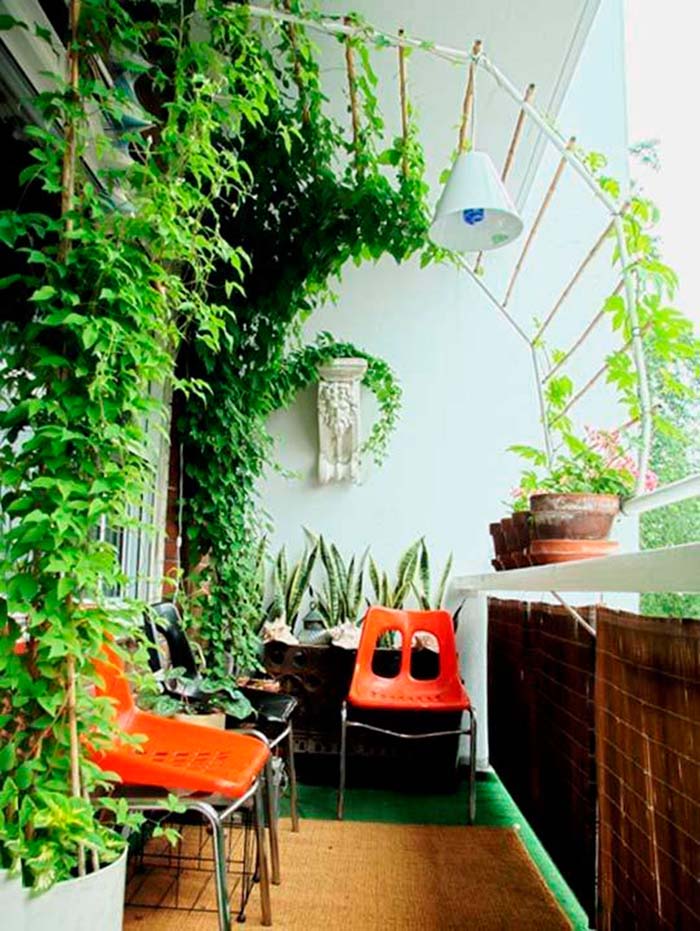 Tropical Privacy #balconygarden #decorhomeideas