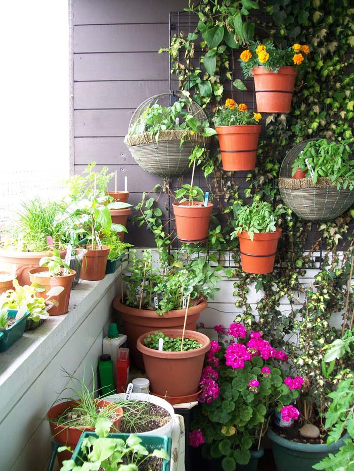 Vegetable Garden #balconygarden #decorhomeideas