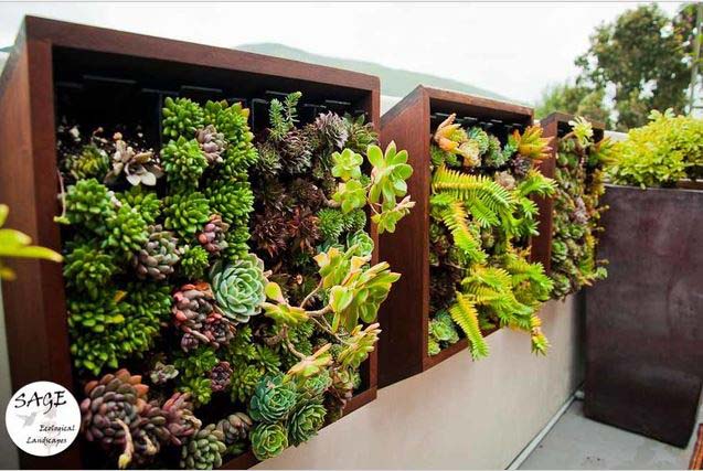 Wall Garden #balconygarden #decorhomeideas