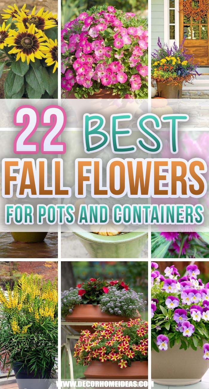 Best Fall Flowers For Pots. Spruce up your porch or patio with the best fall flowers for pots. Choose from container-friendly plants like mums, marigolds, impatiens, and asters. #decorhomeideas