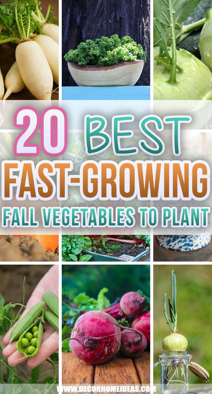 Best Fast Growing Fall Vegetables. Growing your vegetable garden in containers is easy and fun. Try these fast-growing fall vegetables to get plenty of harvests. #decorhomeideas