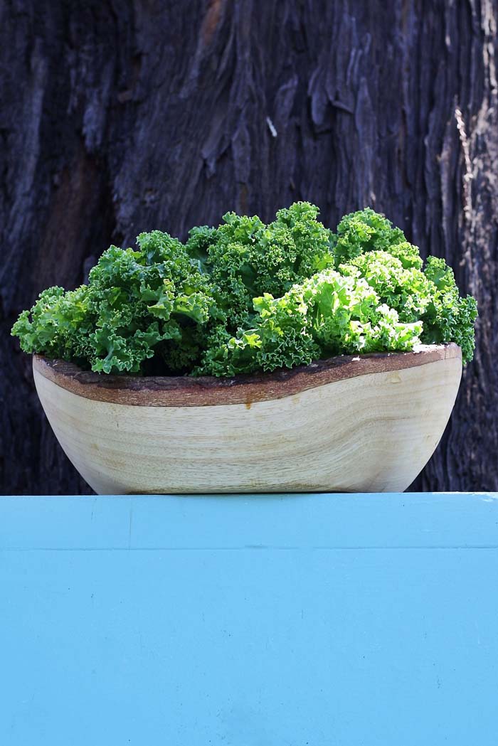 9. Kale #fallvegetables #decorhomeideas