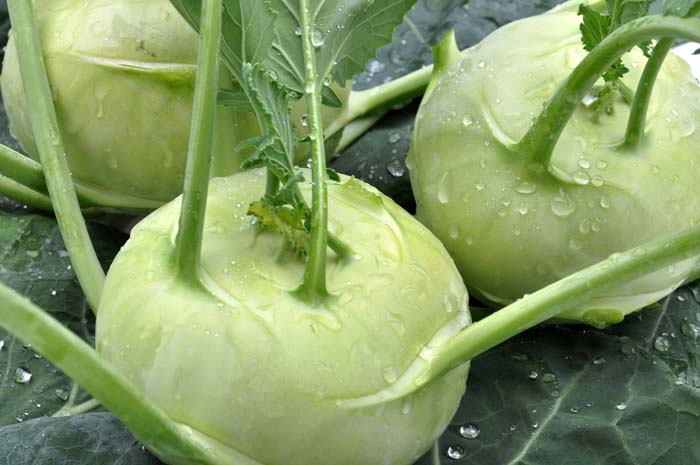 10. Kohlrabi #fallvegetables #decorhomeideas