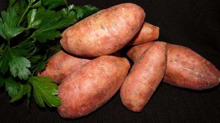 16. Sweet Potatoes #fallvegetables #decorhomeideas
