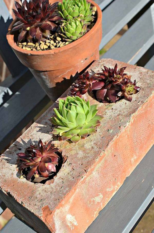 Think Outside the Box with Succulent Planters #oldbrickideas #decorhomeideas