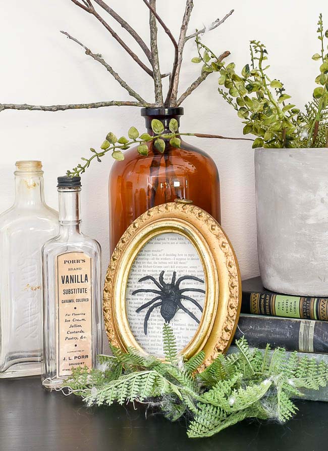 Vintage Inspired Specimen Art #farmhouse #halloween #decorhomeideas