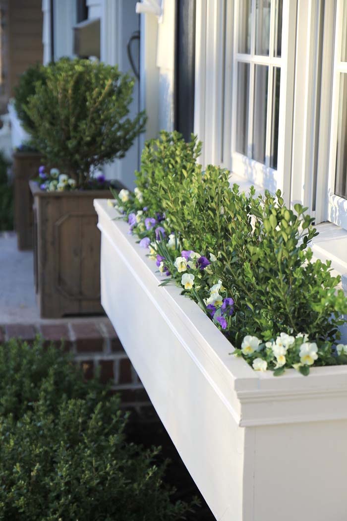 DIY Flower Boxes for the Windows #cheap #landscaping #decorhomeideas