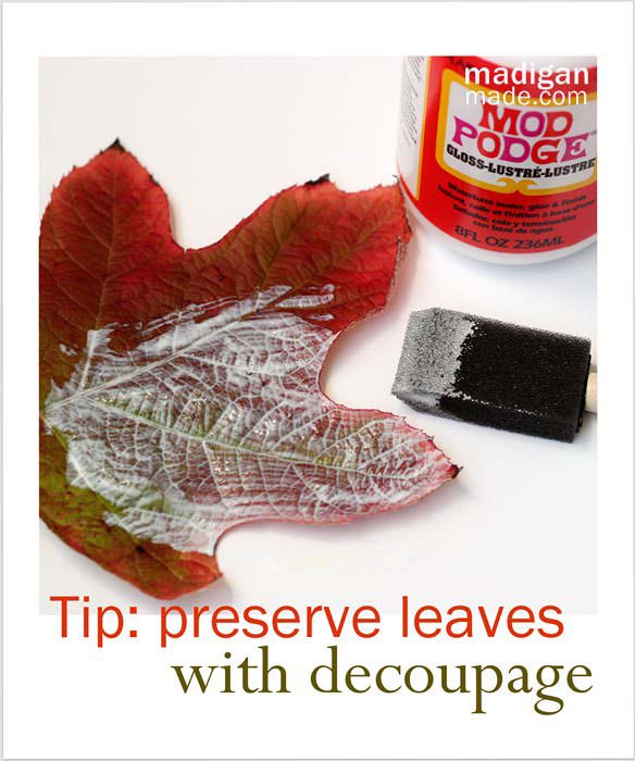 19. Preserve Fall Leaves #cheapfalldecor #diy #decorhomeideas