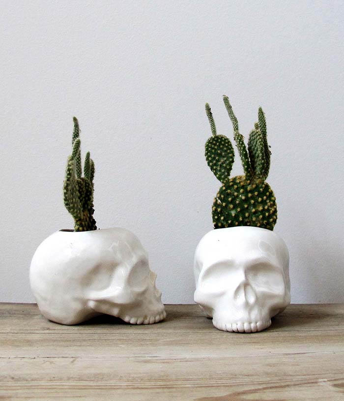 19. Skull Plant Holders #halloween #decor #decorhomeideas