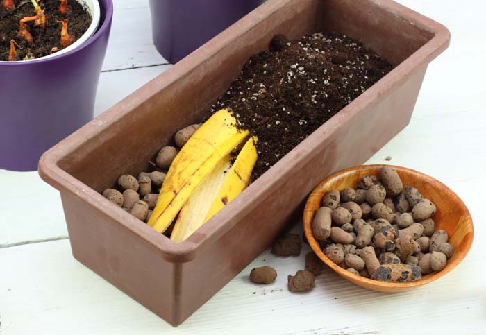 Ammend Potting Soil #garden #hacks #bananapeels #decorhomeideas