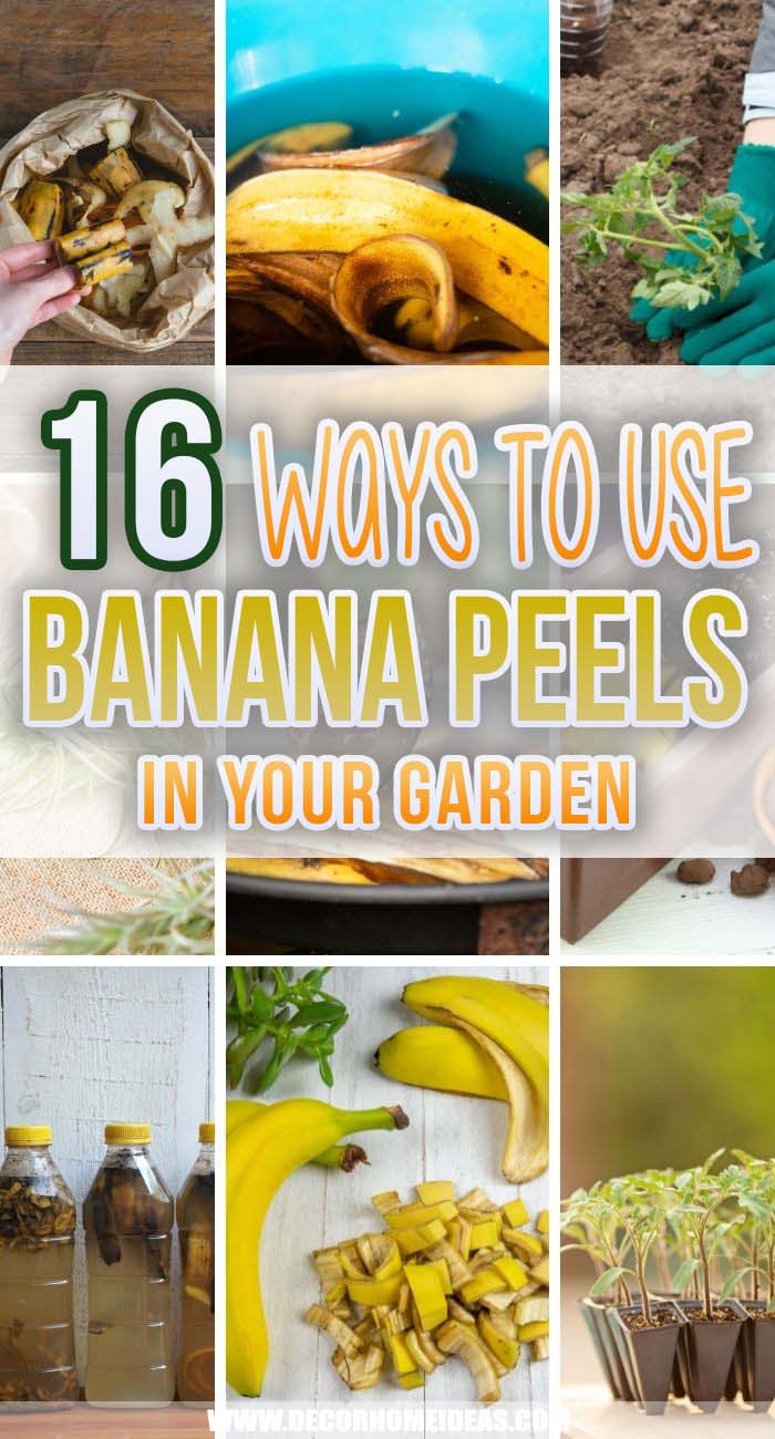 Best Ways To Use Banana Peels In Your Garden. Use banana peels in your garden instead of throwing them away! Here are 16 ways to use banana peels in your garden. Easy projects you can do today! #decorhomeideas