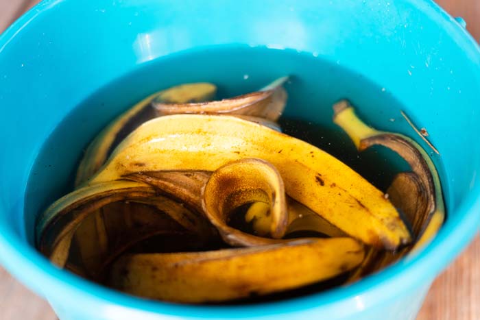 Brew a Compost Tea #garden #hacks #bananapeels #decorhomeideas