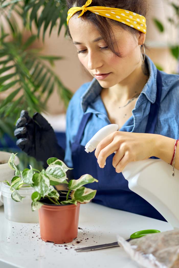 Check if your Plant Needs a Good Shower #hacks #houseplants #decorhomeideas