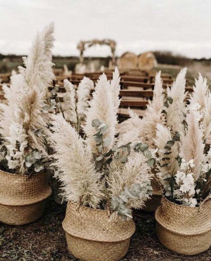 Christmas Feathery Pampas Grass