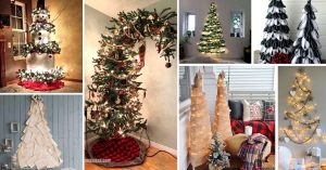 Extraordinary Christmas Trees