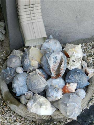 A Big Filled Seashell Bowl With Crushed Pebble Ground Cover #downspout #landscaping #rocks #decorhomeideas