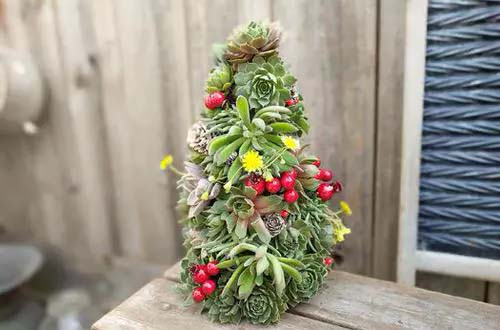 A Colorful Succulent Tree! #christmastree #succulent #decorhomeideas